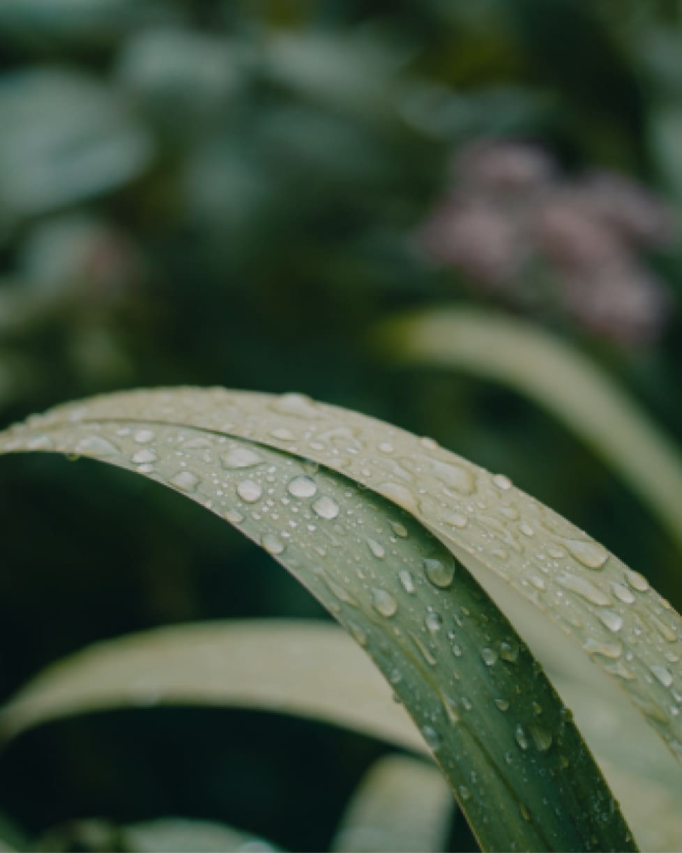 Sustainability